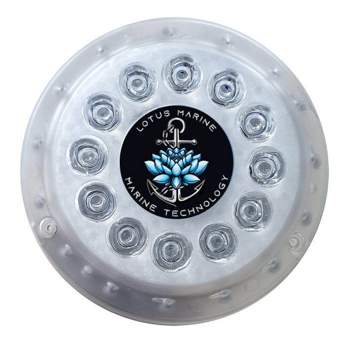 #UnderwaterLighting #LEDUnderwater #UnderwaterLEDLights #OceanLighting #AquariumLED #SubmersibleLED #UnderwaterIllumination #MarineLighting #LEDSeaLights #WaterproofLED #UnderwaterGlow #DeepSeaLED #UnderwaterLuminance #LEDSubmersion #DiveLighting #LEDLigh
